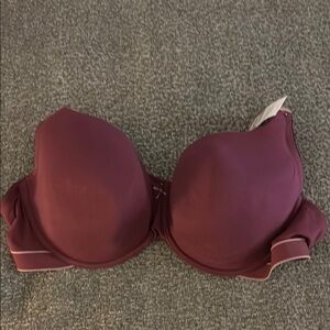Cacique Burgundy Bra Intimates & Sleepwear